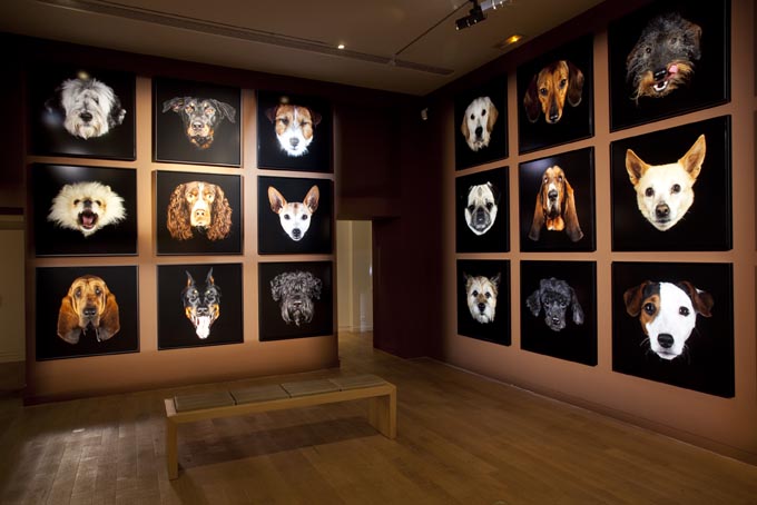 Mus&eacute;e de la chasse et de la nature